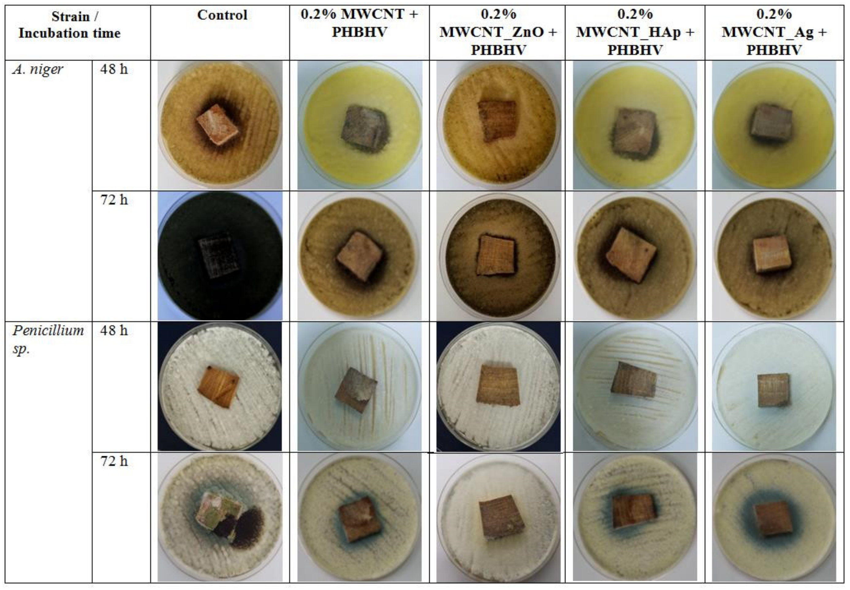 Nanomaterials 12 01990 g011