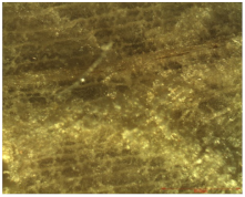 Nanomaterials 12 01990 i001