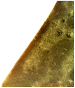 Nanomaterials 12 01990 i002