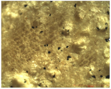 Nanomaterials 12 01990 i003