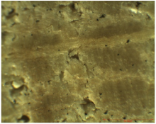 Nanomaterials 12 01990 i005