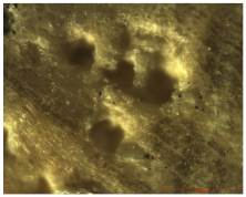 Nanomaterials 12 01990 i007