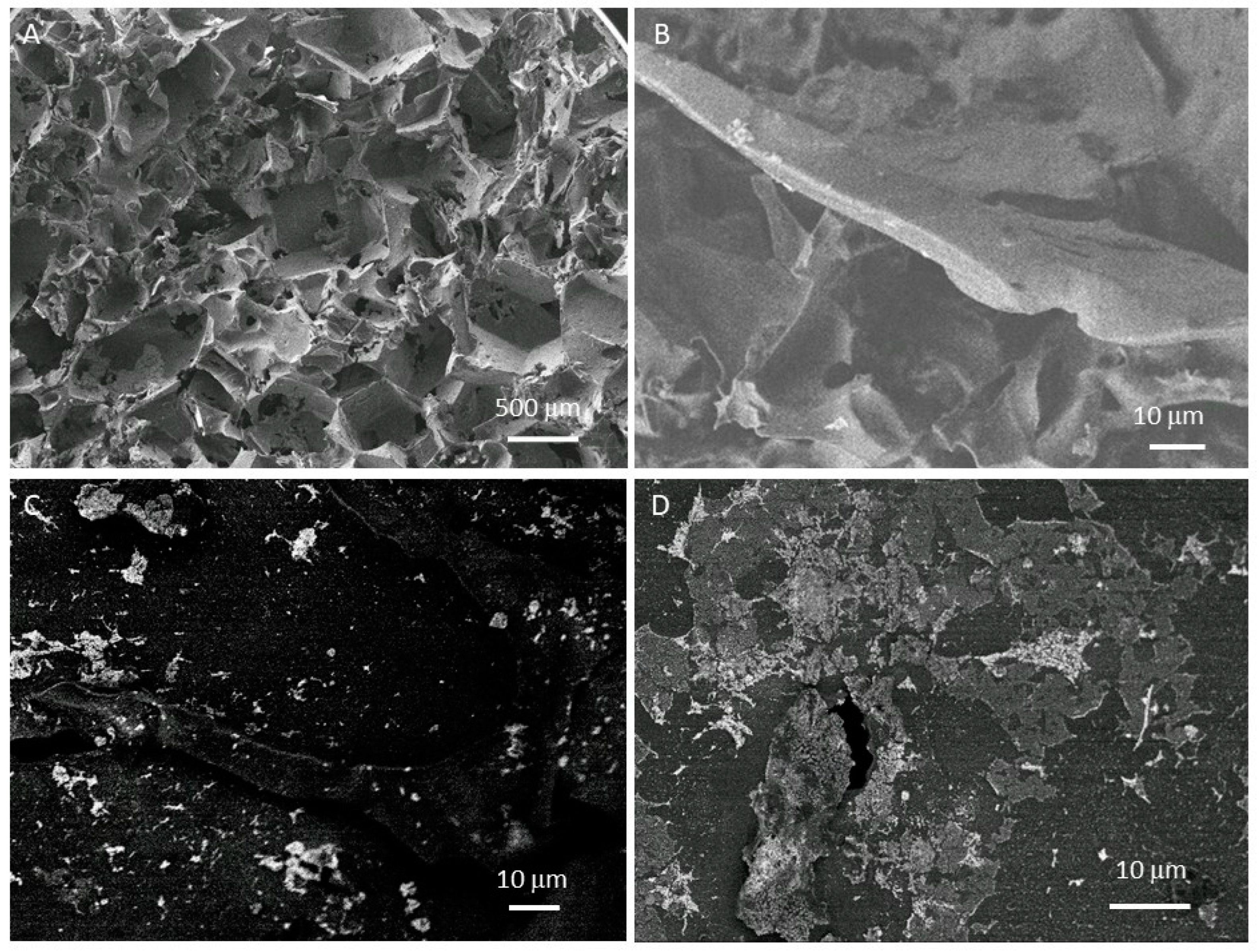 Nanomaterials 12 02081 g001