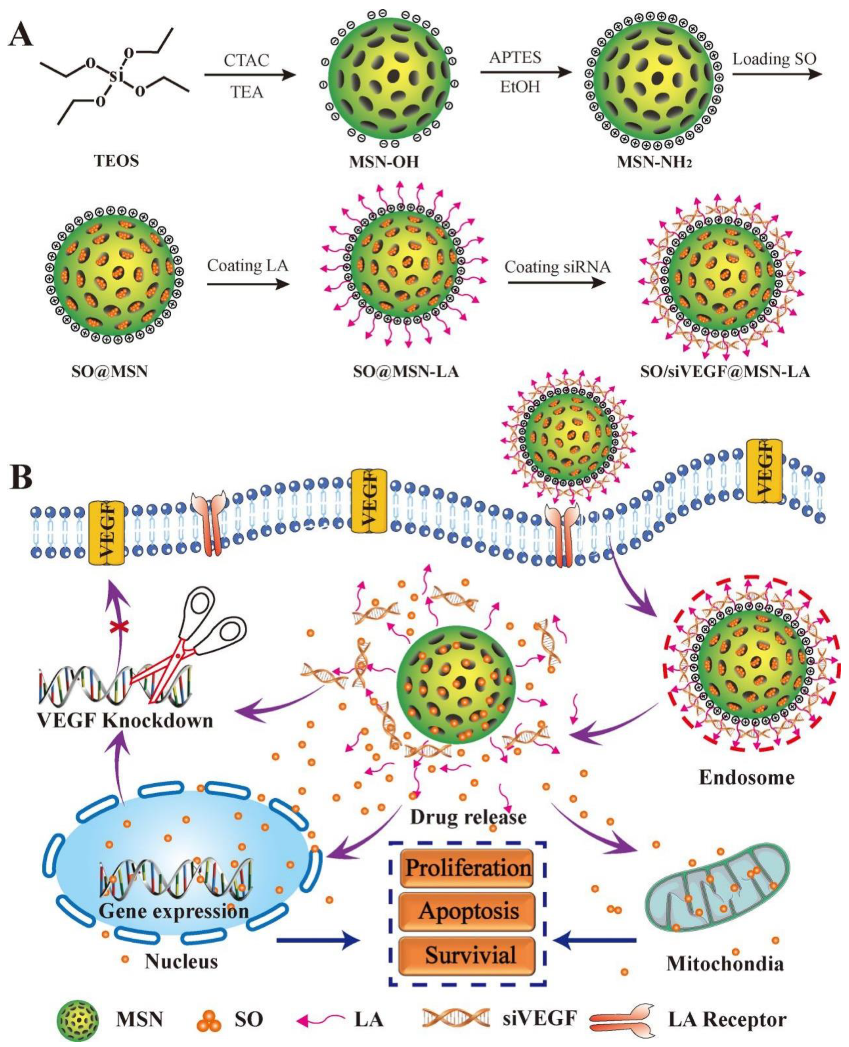 Nanomaterials 12 02832 g002