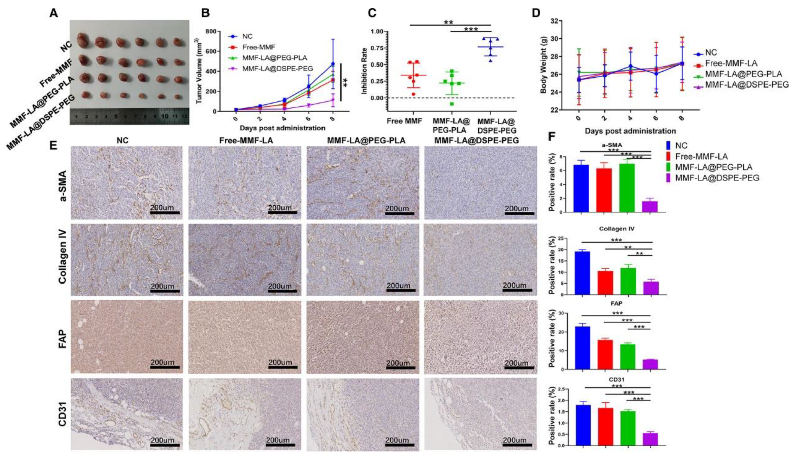Nanomaterials 12 02832 g003