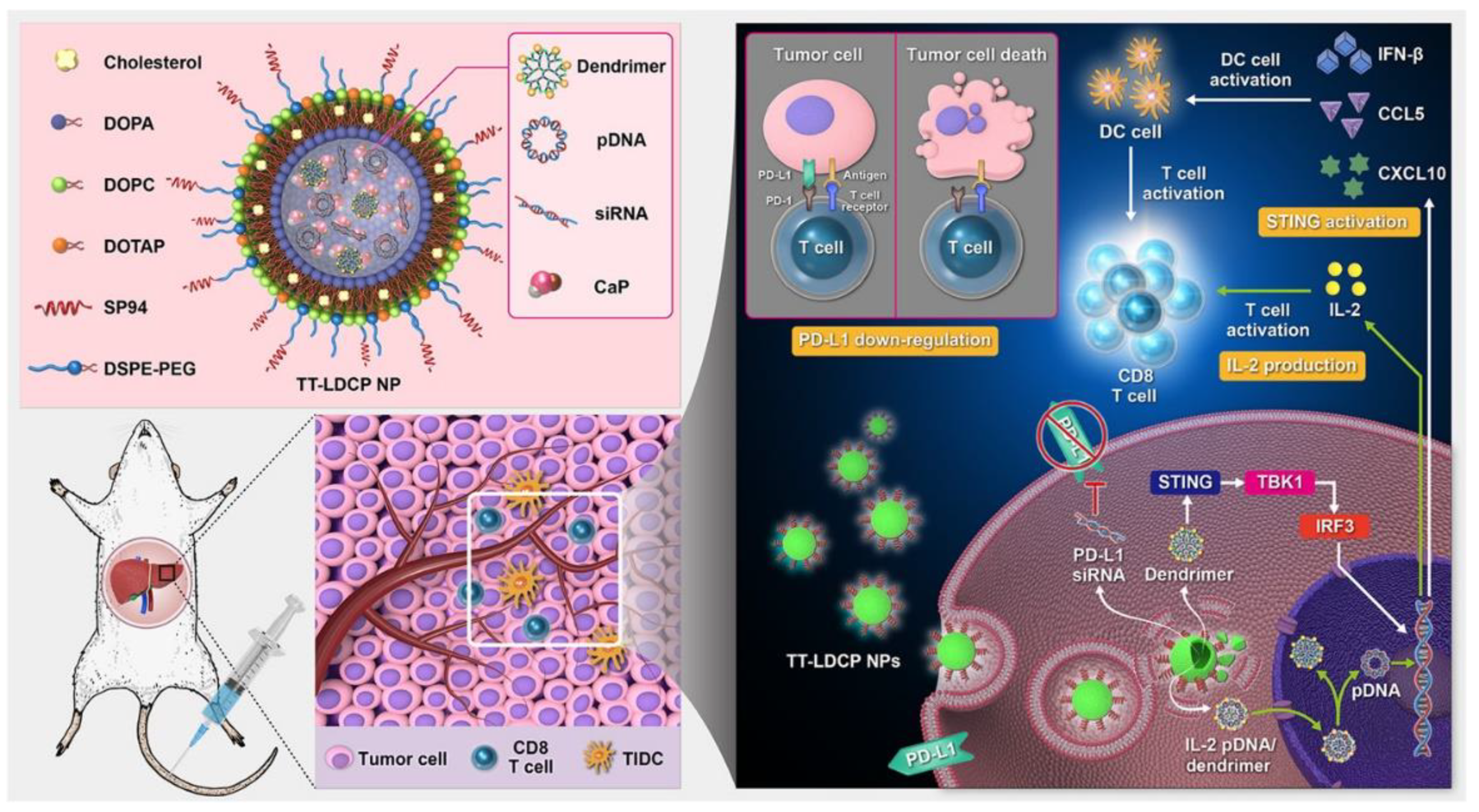 Nanomaterials 12 02832 g004