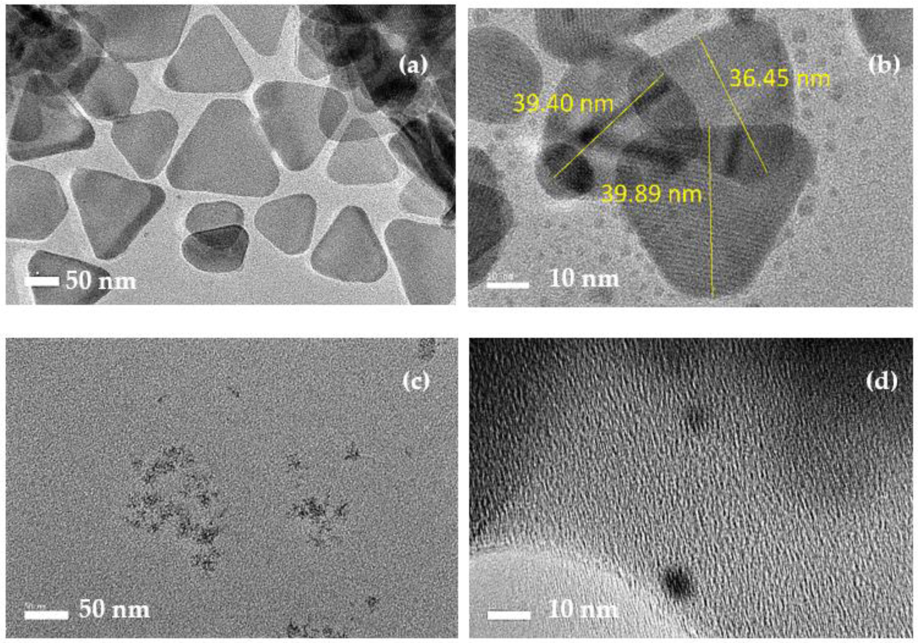 Nanomaterials 12 02999 g004