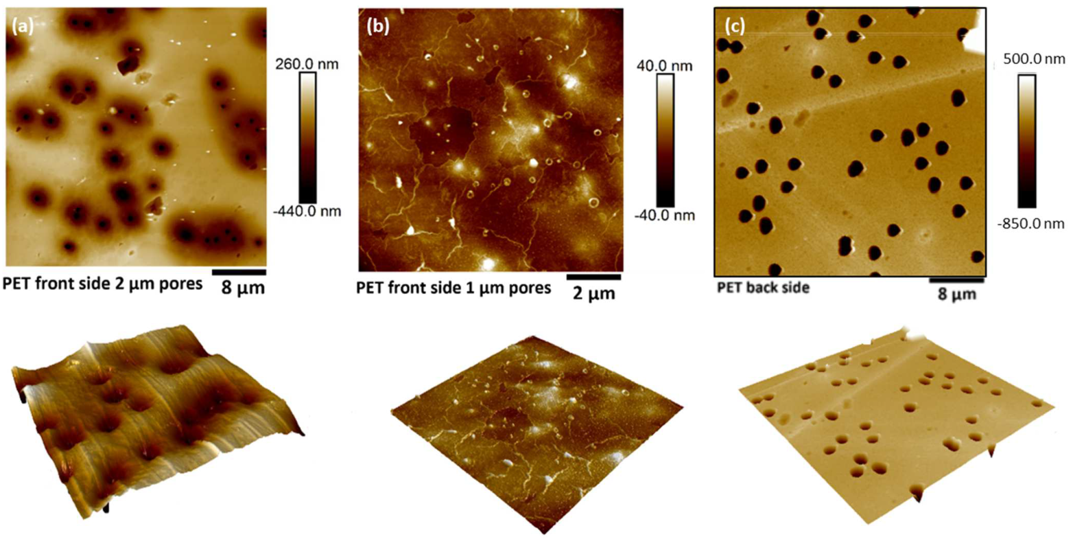 Nanomaterials 13 00267 g006