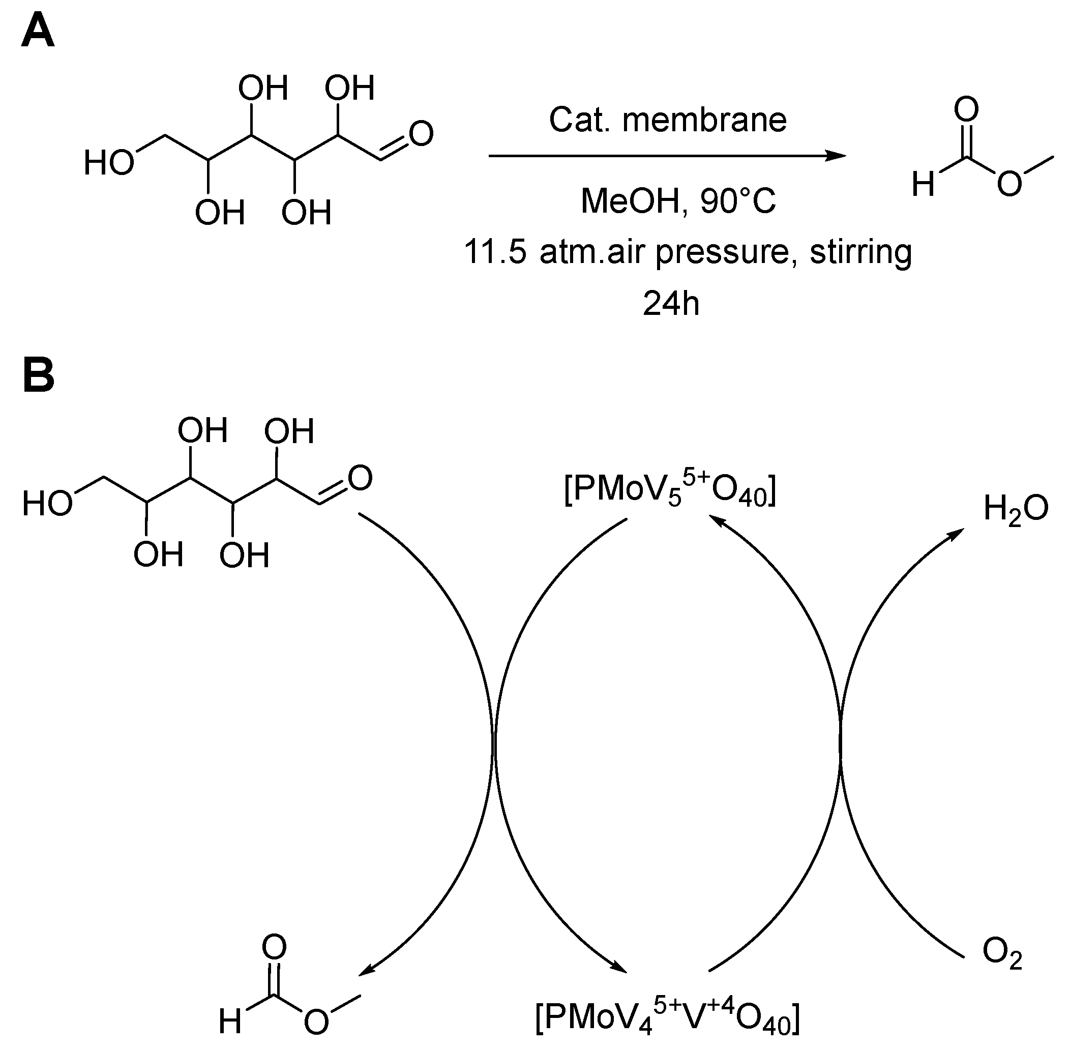 Nanomaterials 13 02498 g005