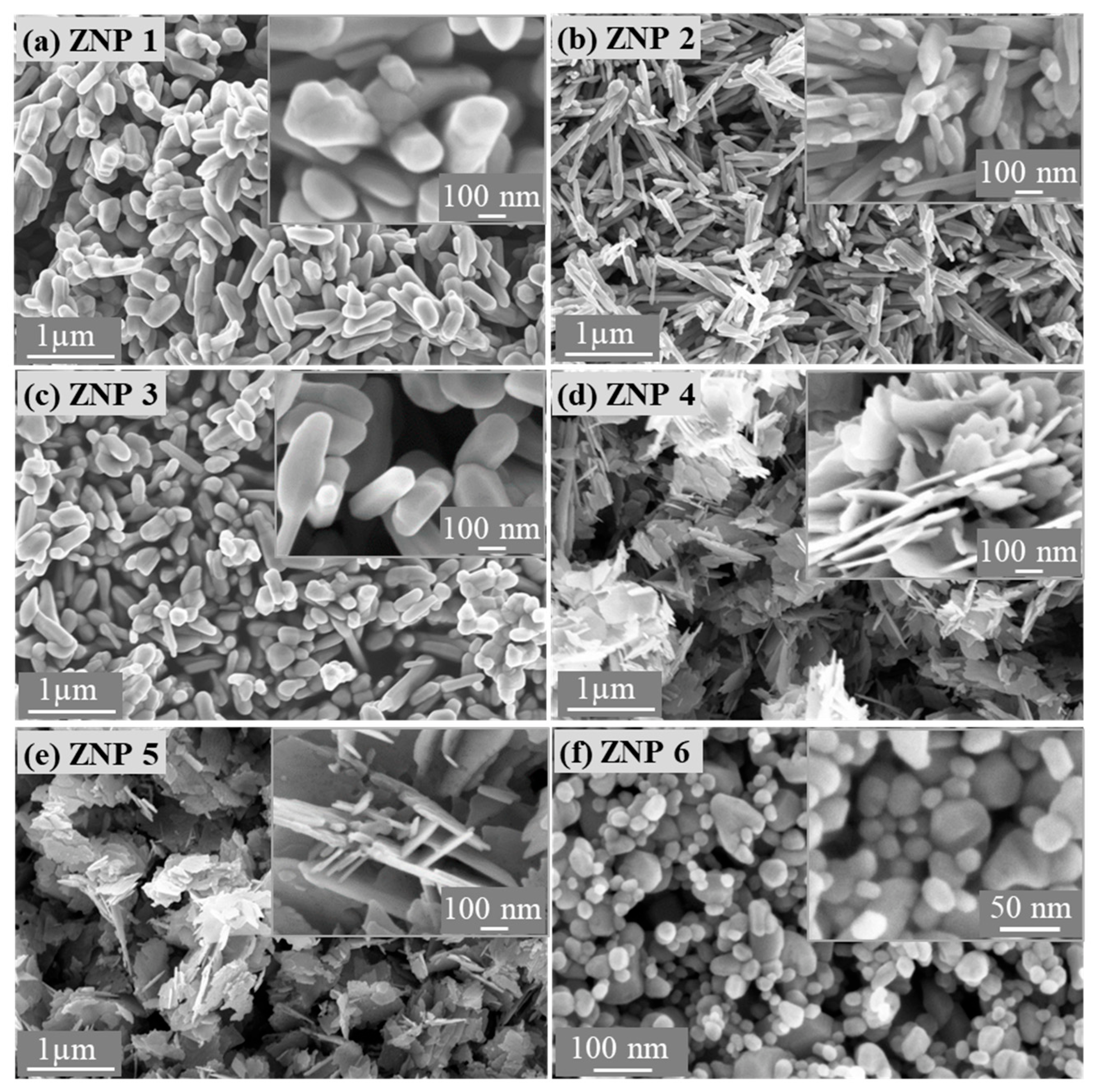Nanomaterials 13 02527 g001