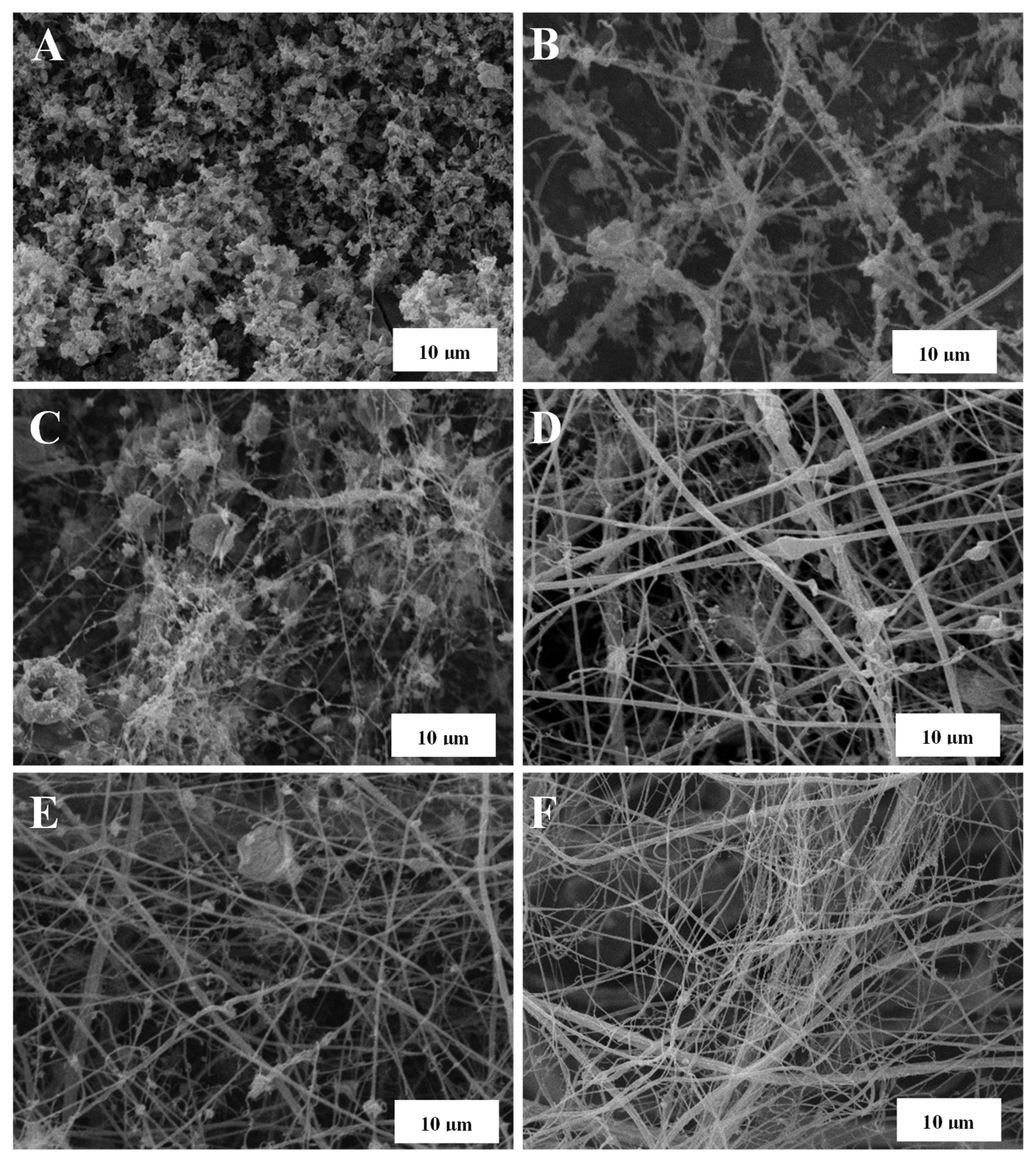 Nanomaterials 13 02852 g001