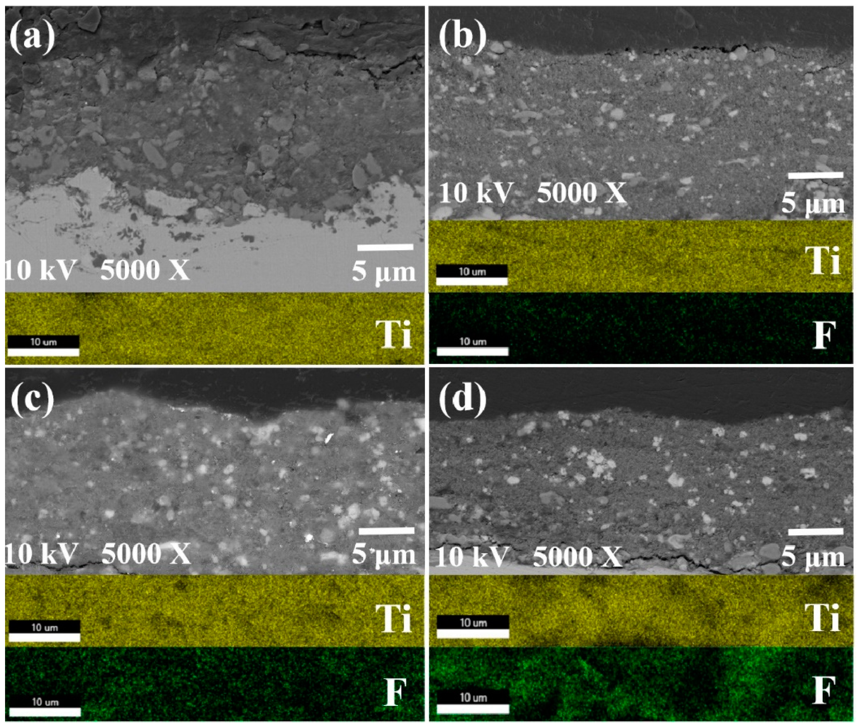 Nanomaterials 13 03123 g004