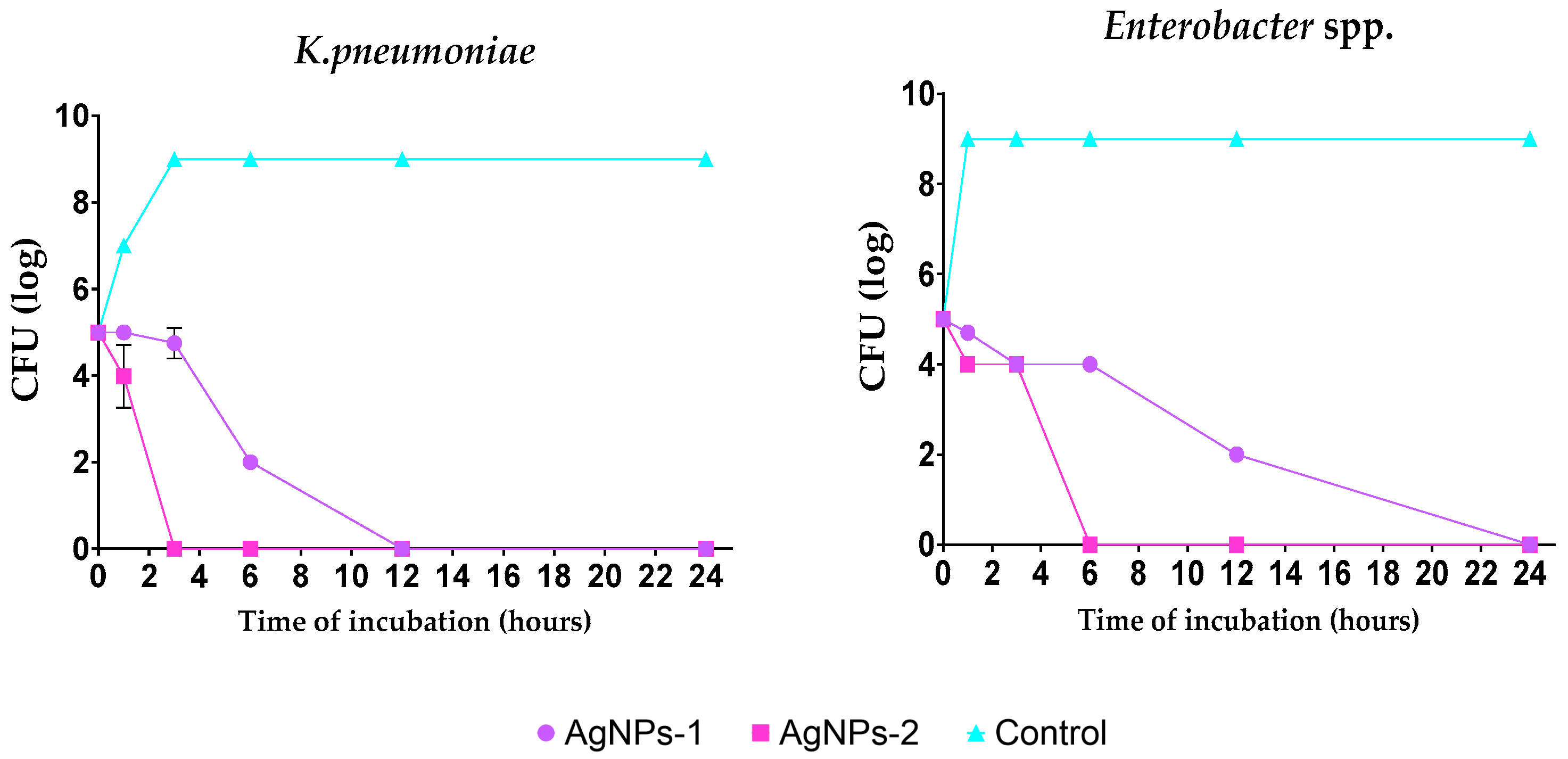Nanomaterials 14 00137 g003b