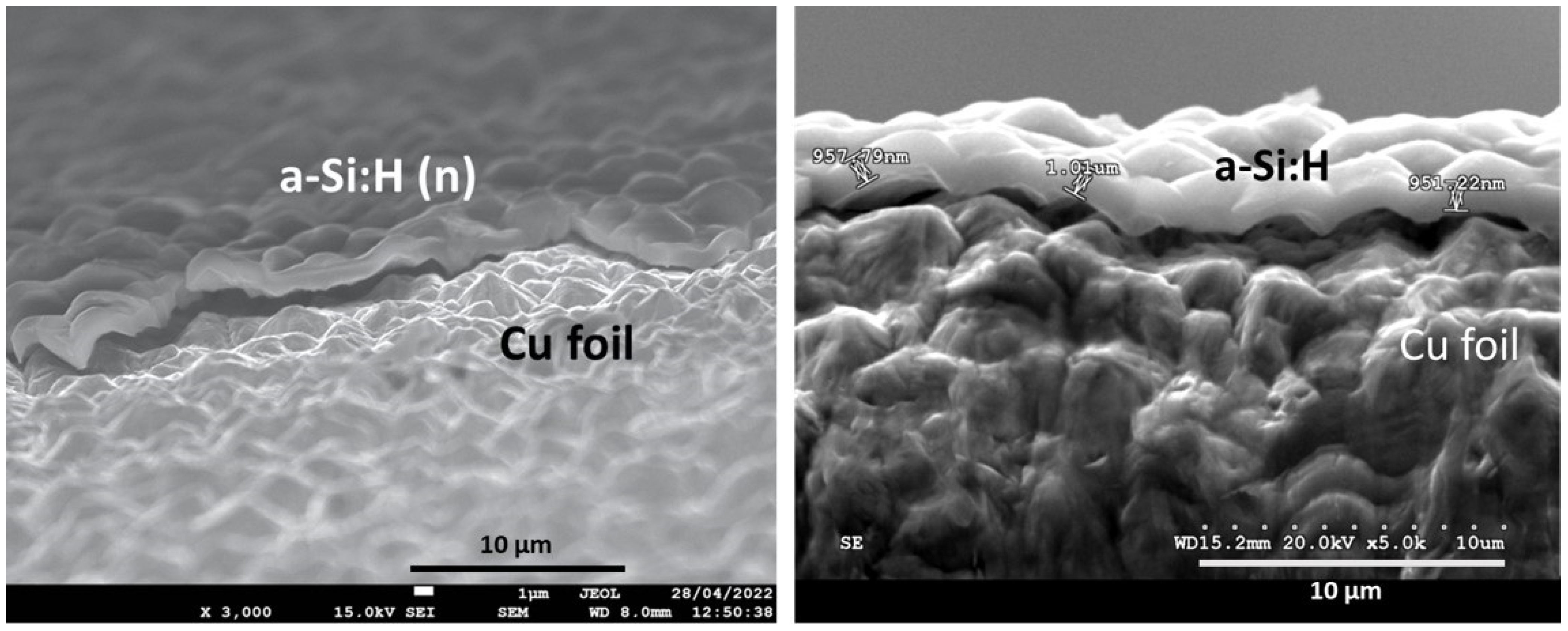 Nanomaterials 14 00204 g001