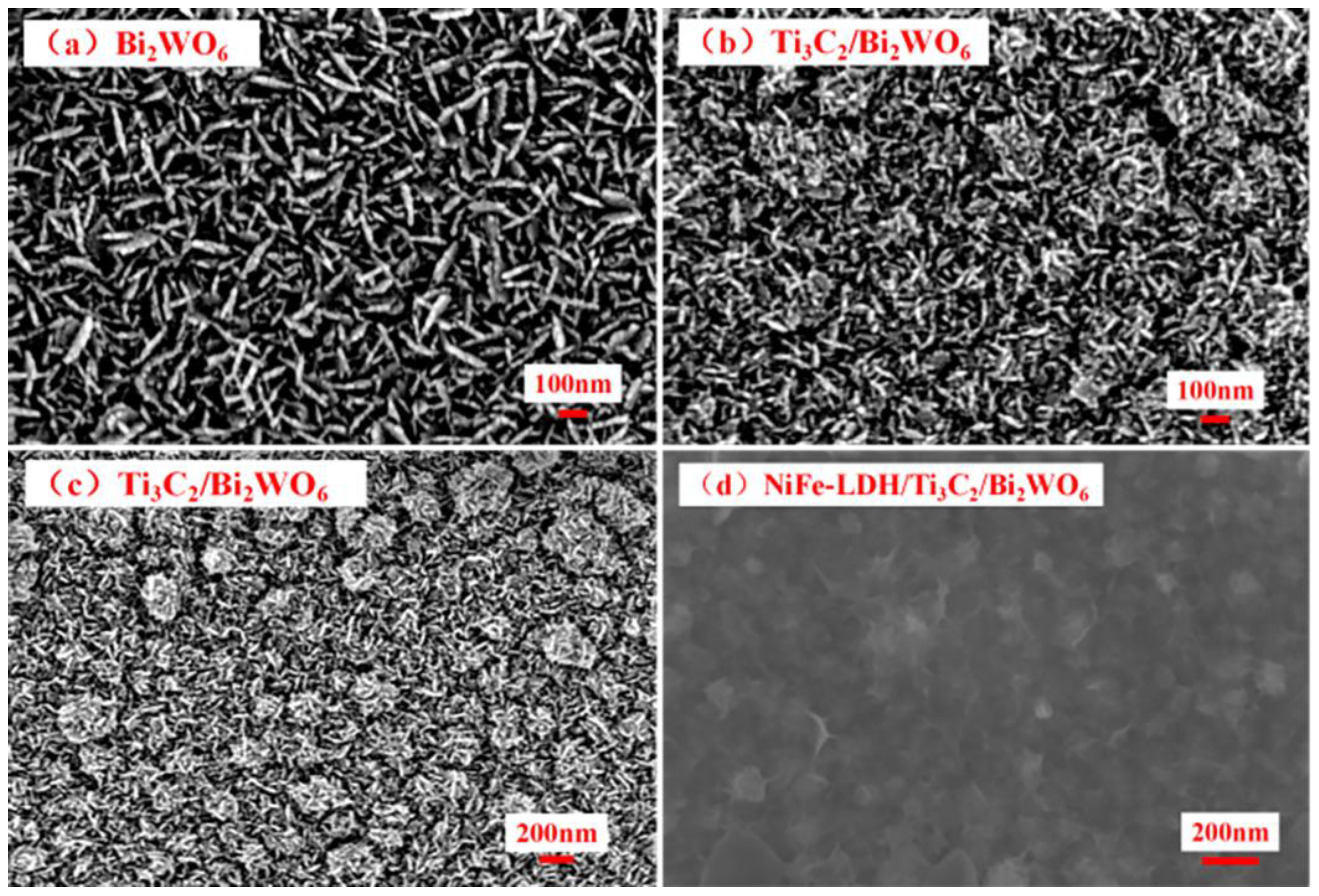 Nanomaterials 14 00477 g002