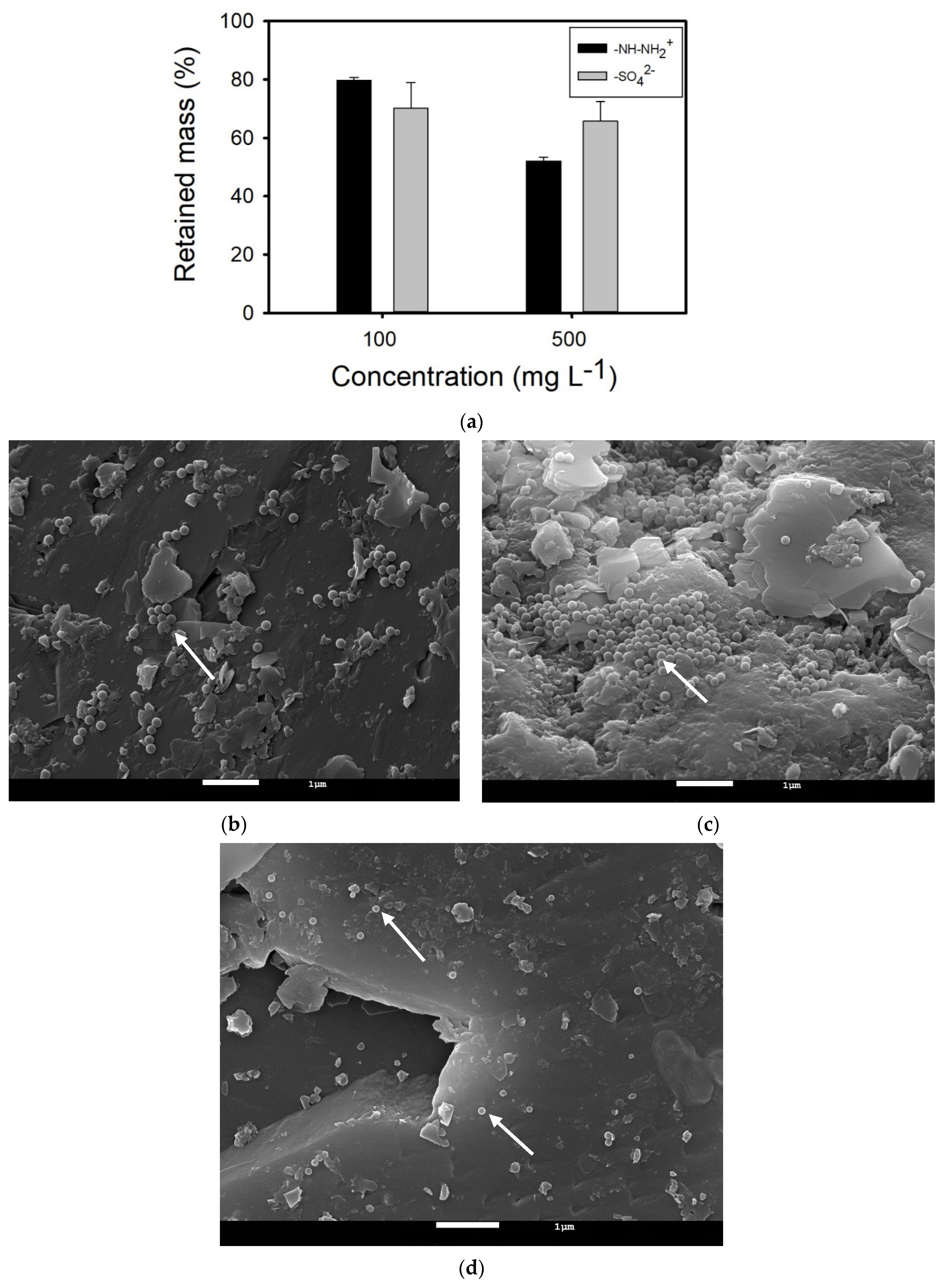 Nanomaterials 14 00529 g004