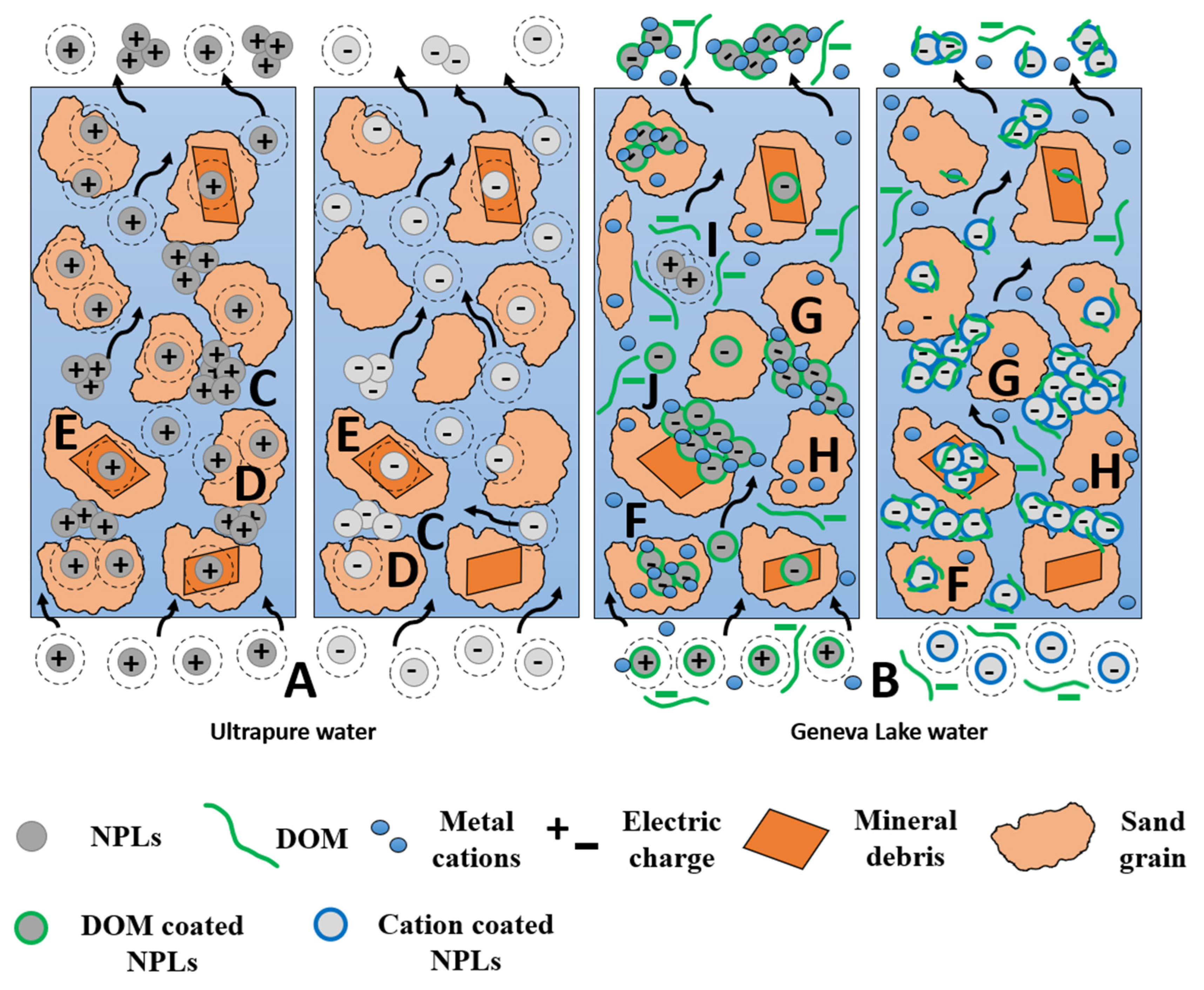 Nanomaterials 14 00529 g005