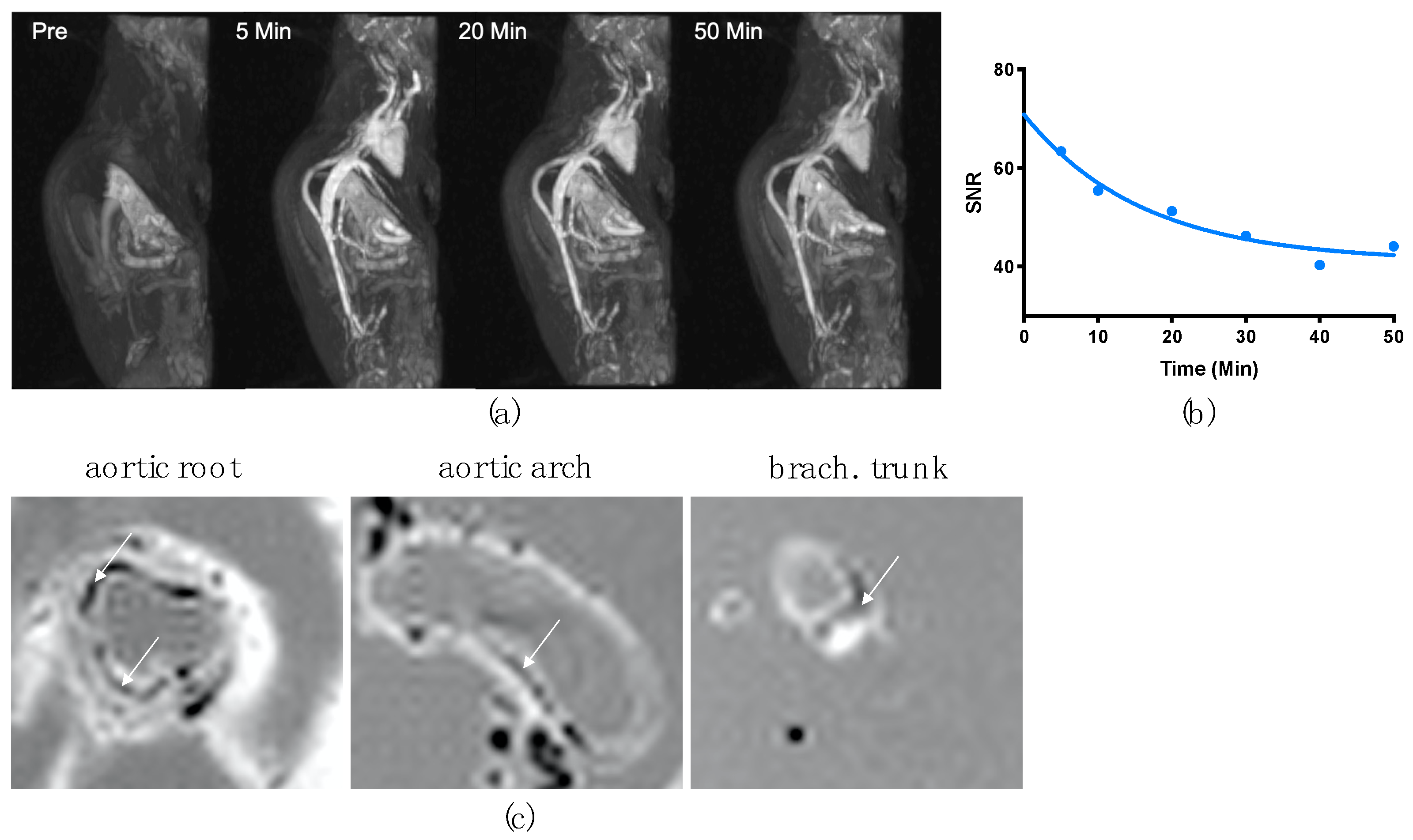 Nanomaterials 14 00773 g003