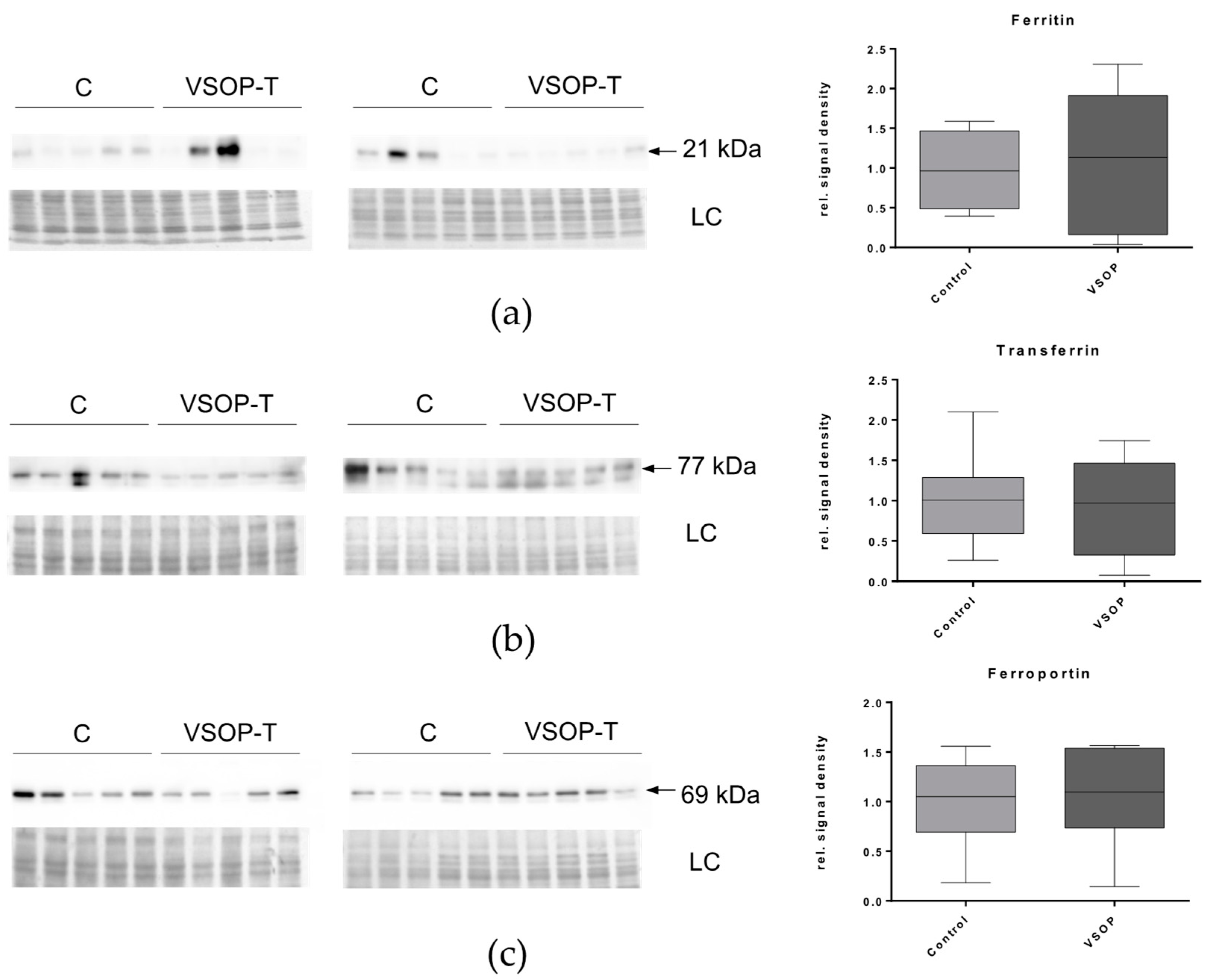 Nanomaterials 14 00773 g006