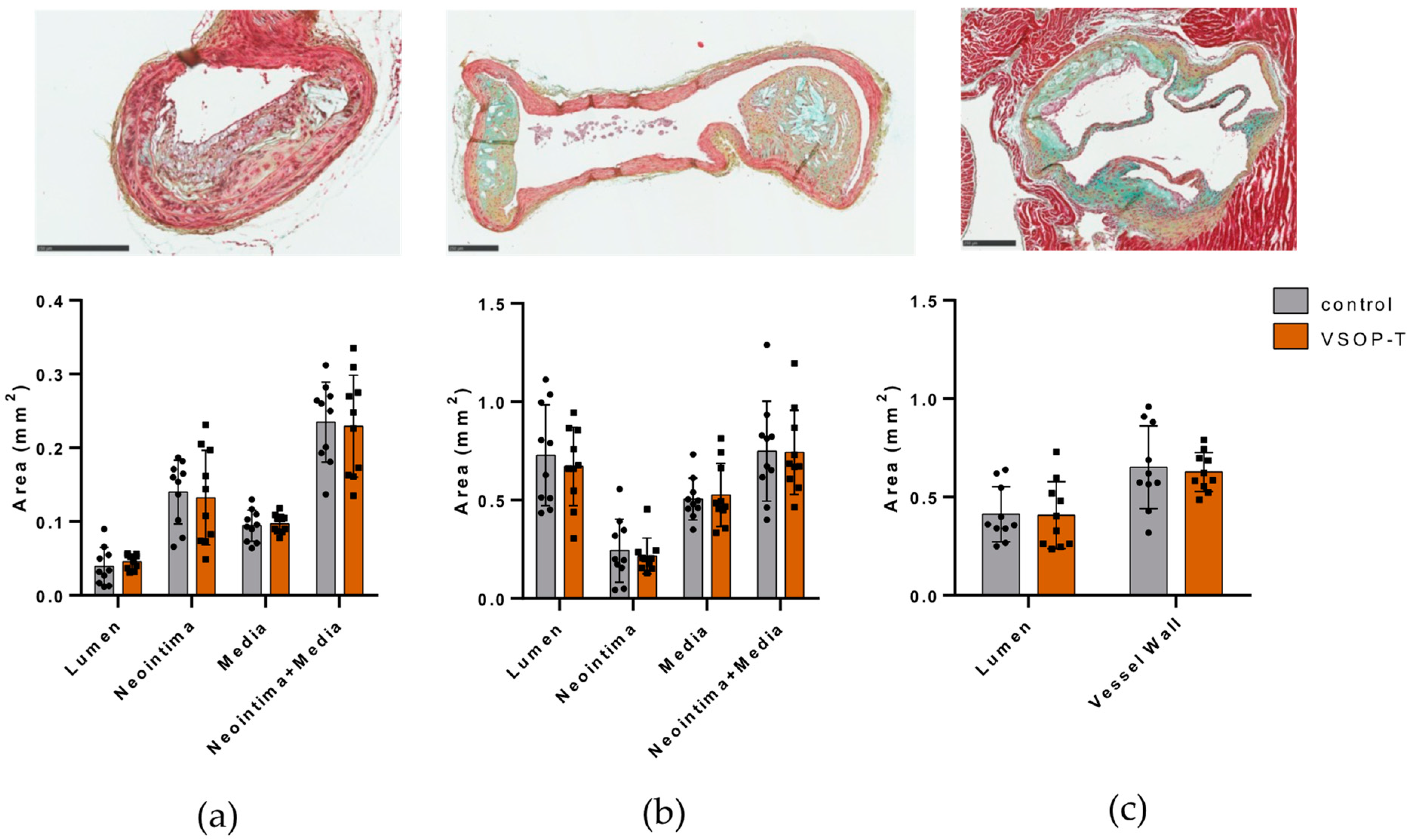 Nanomaterials 14 00773 g008
