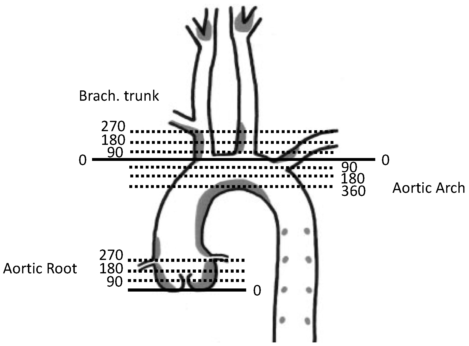 Nanomaterials 14 00773 g0a2