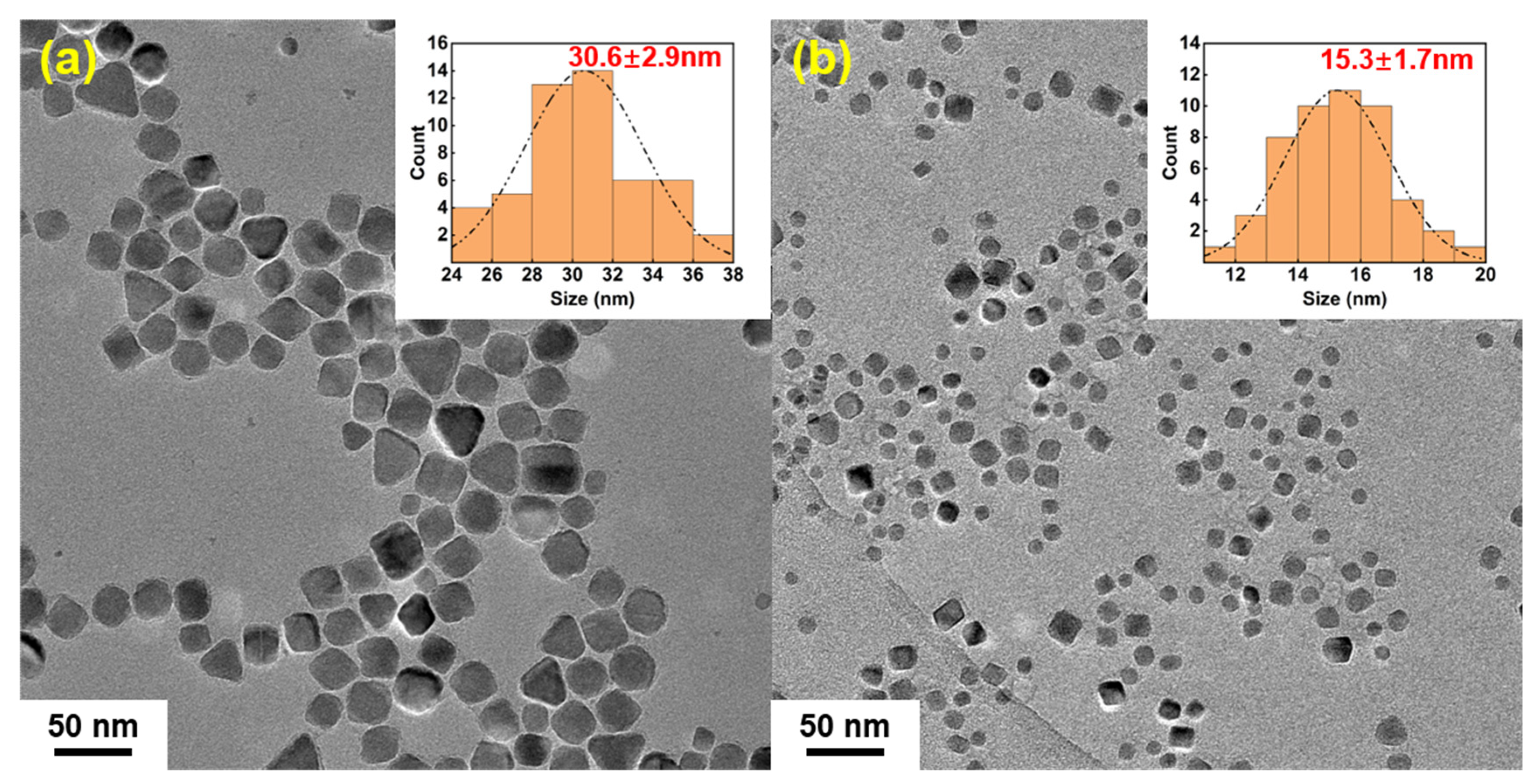 Nanomaterials 14 00827 g004