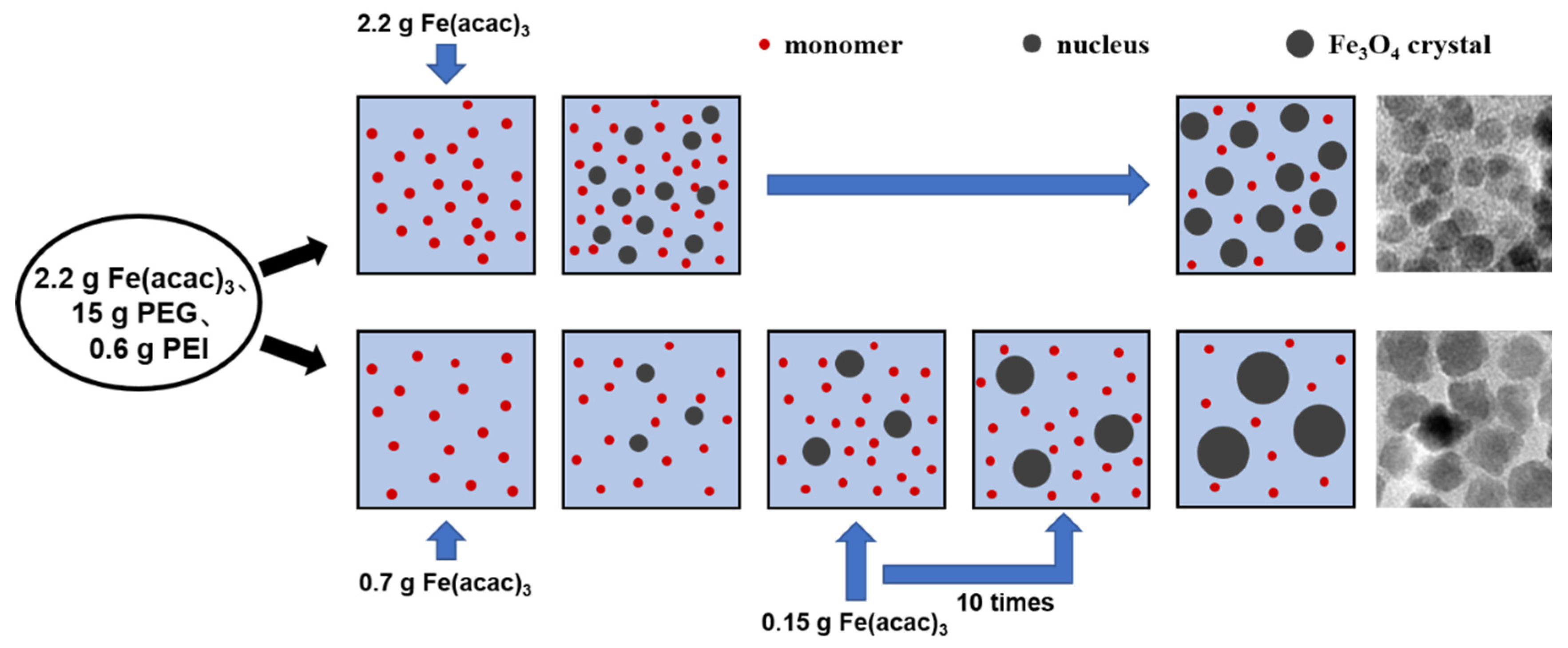 Nanomaterials 14 00827 g005