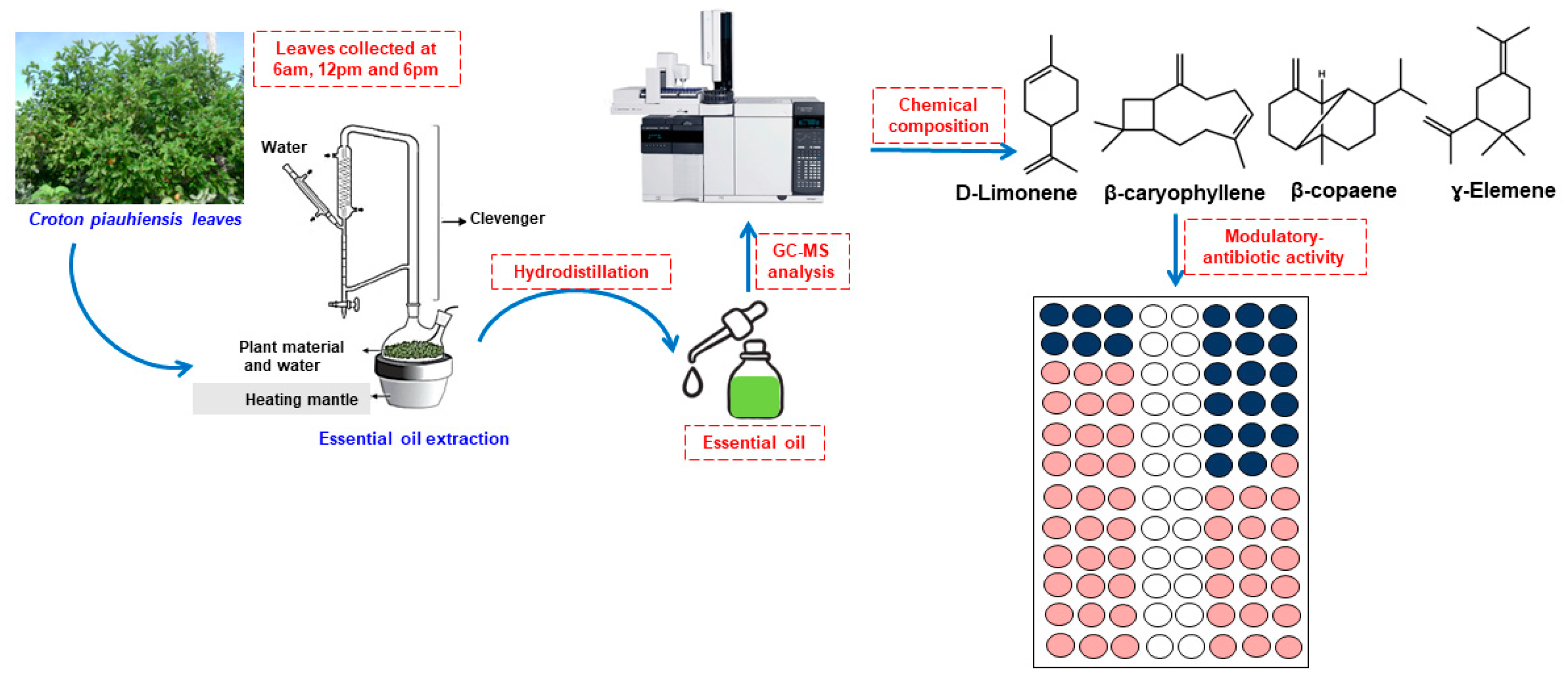 Nutraceuticals 03 00042 g001