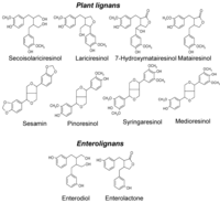 Nutrients 02 00099 g001 200
