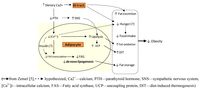 Nutrients 02 00586 g001 200