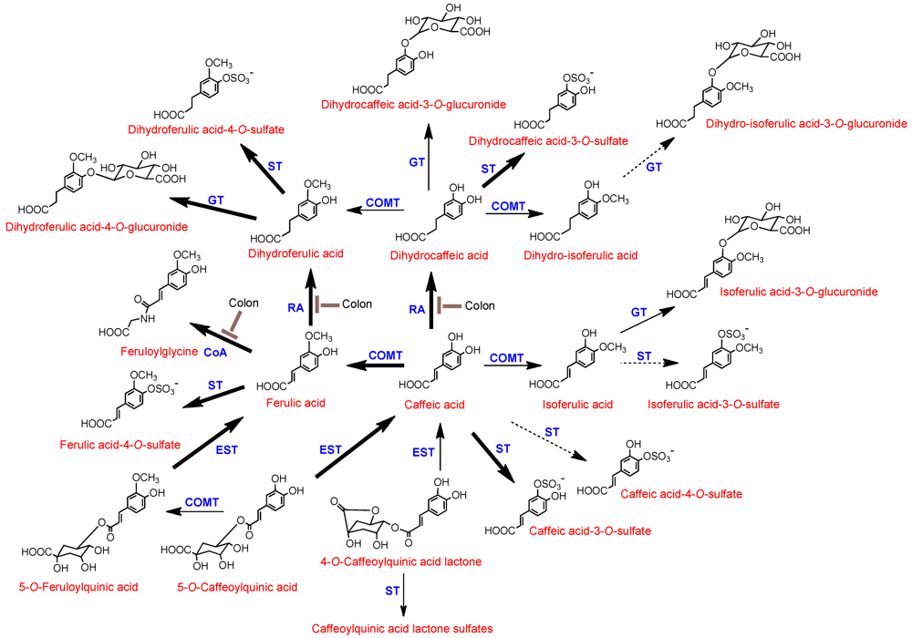 Nutrients 02 00820 g003