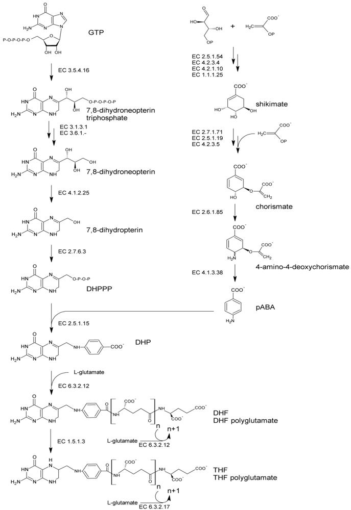 Nutrients 03 00118 g001 1024