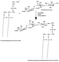Nutrients 03 00228 g001 200
