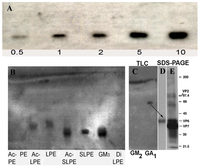 Nutrients 03 00228 g005 200
