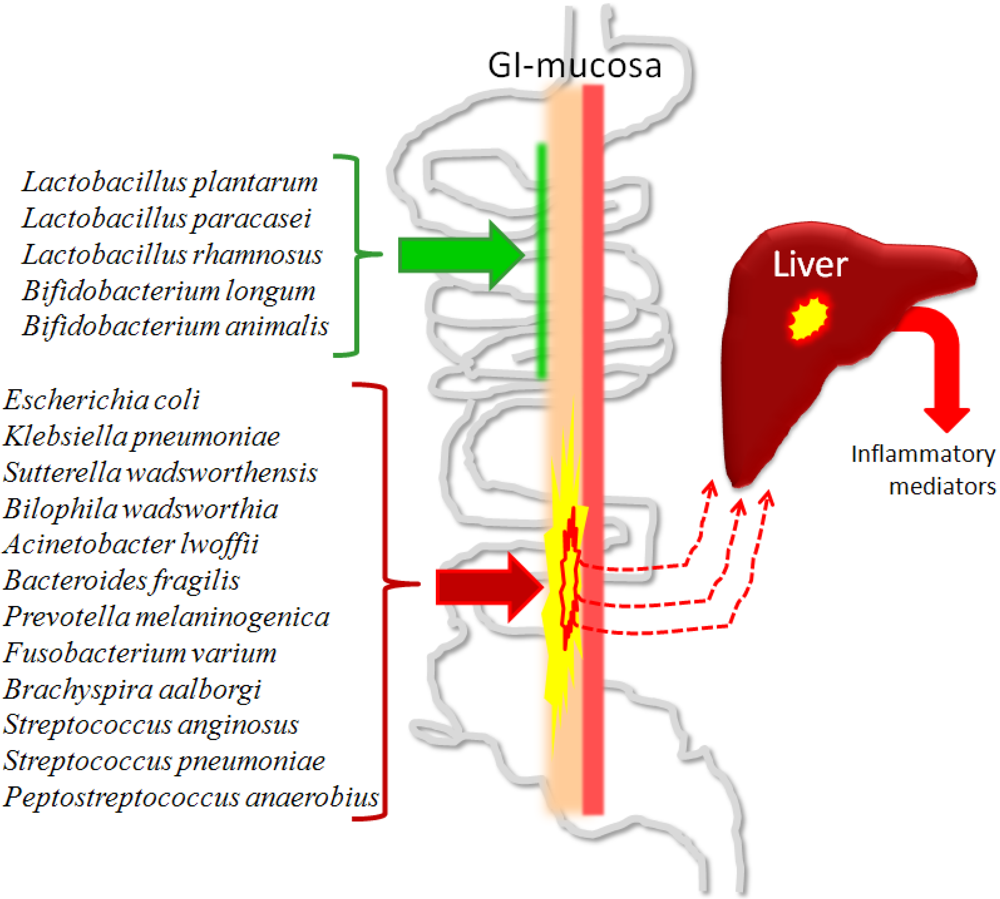 Nutrients 03 00637 g001 1024