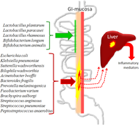 Nutrients 03 00637 g001 200