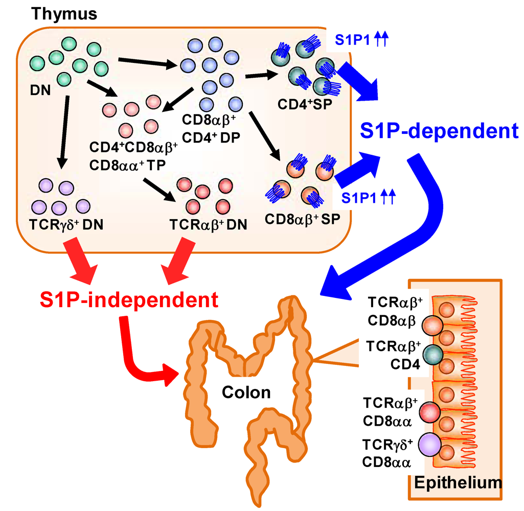 Nutrients 04 00154 g003