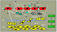 Nutrients 04 00297 g001 200