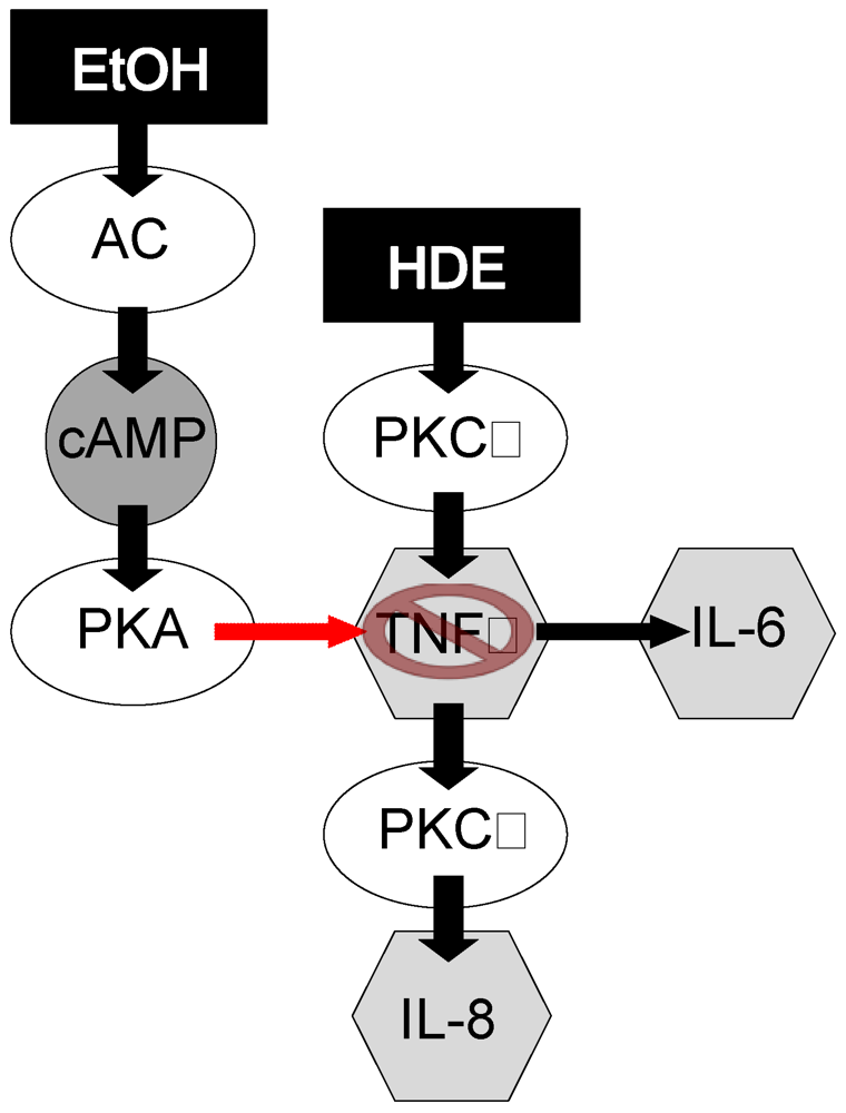 Nutrients 04 00695 g008