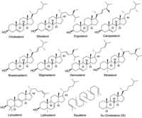 Nutrients 04 00904 g001 200
