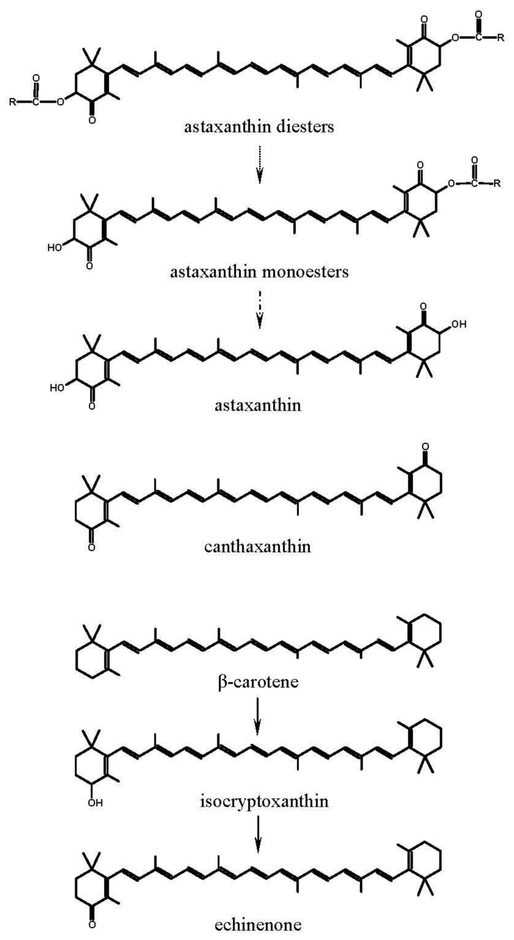 Nutrients 04 00922 g002 1024