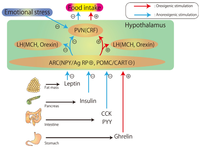 Nutrients 04 00967 g001 200