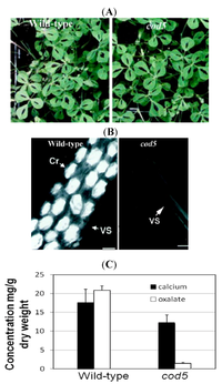 Nutrients 04 01120 g002 200