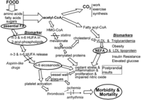 Nutrients 04 01338 g003 200