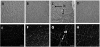 Nutrients 04 01527 g003 200