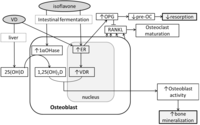 Nutrients 04 01610 g001 200