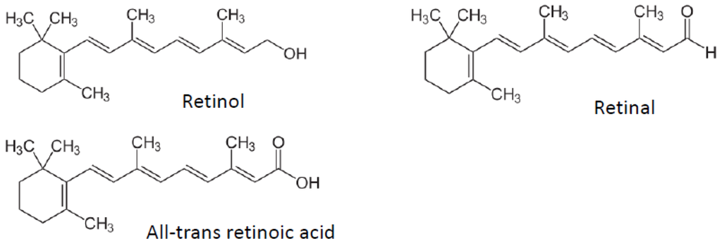 Nutrients 04 01622 g001 1024