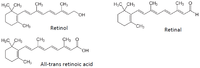 Nutrients 04 01622 g001 200