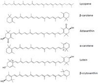 Nutrients 04 01622 g005 200