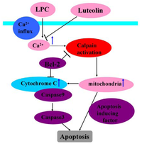 Nutrients 04 02008 g003 200